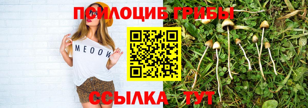 Псилоцибиновые грибы мухоморы Саранск