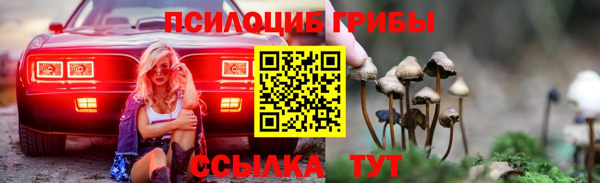 Псилоцибиновые грибы мицелий  Вход с VPN  Саранск 